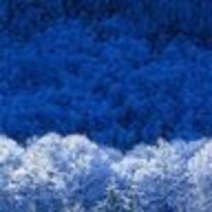 Meet your Posher, Loren